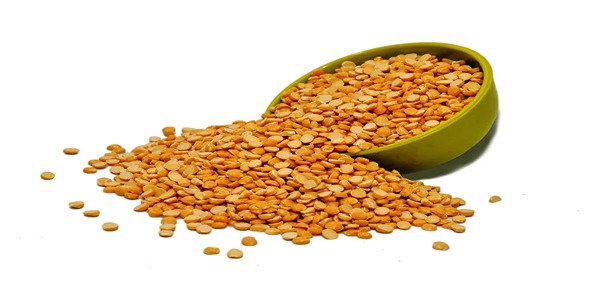 تصویر 5 از قیمت لپه ریز آرتمیس + خرید باور نکردنی